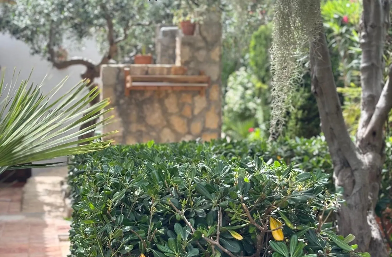 Frühstückspension B&B Villa Alba San Vito Lo Capo