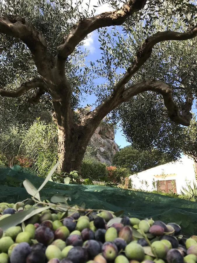 B&B Villa Alba San Vito Lo Capo Italien